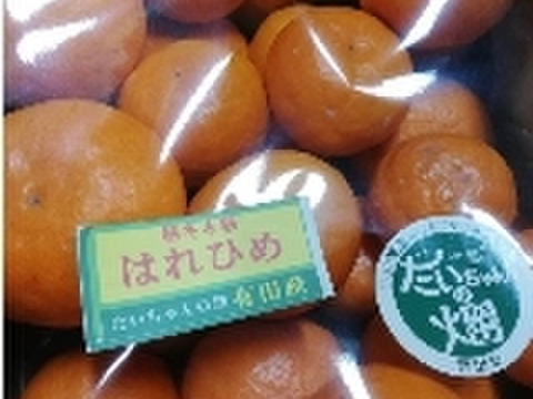 甘くて濃厚！希少な「はれひめ