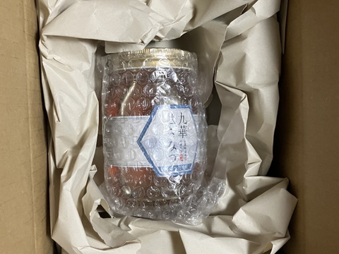 【お徳用500ｇ】養蜂家直送！完全自家採集の三重県／北部産芳春の百花蜜【九華はちみつ】