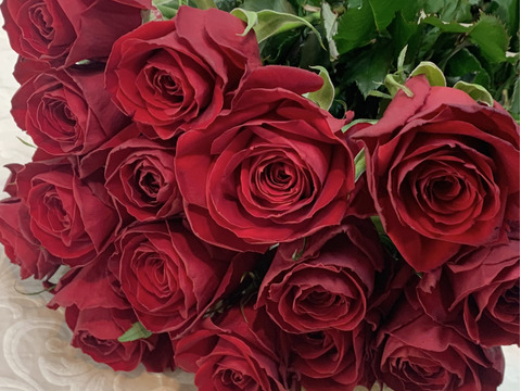 【20本入り】プレミアムな花束を大切なあの人へ！🟥赤色系ミックス・バラの花束・ご贈答用包装付・もちろんご自宅にも。長さ約50cm、微・無香性