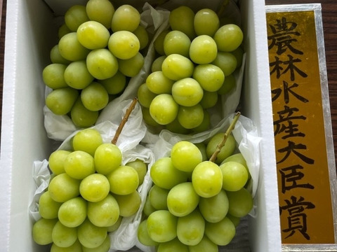 農林水産大臣賞受賞のシャインマスカット3房(約1.8k)