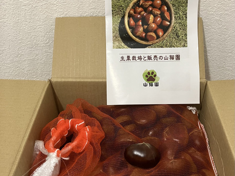 お買い得！訳あり栗1kg