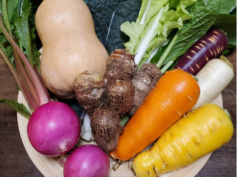 テーマは『カラフル&珍しい』野菜セット(野菜6種類入り)農薬・化学肥料不使用