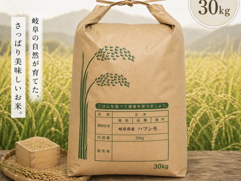 自家生産でこだわりあり！岐阜 ハツシモ 令和7年産  30キロ　玄米🌾