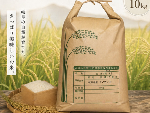 希少なブランド米    岐阜ハツシモ  
令和7年産  白米 10Kg 🍚