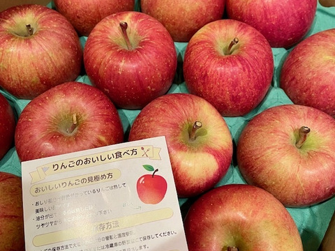 【王道サンふじ】　5㎏　13～20玉　本場青森りんご　農家直送　元気なりんご