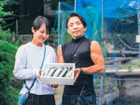 湯布院　銀鱗鮎　名水育ち　生鮎５００ｇ～６００ｇ（５～６匹）