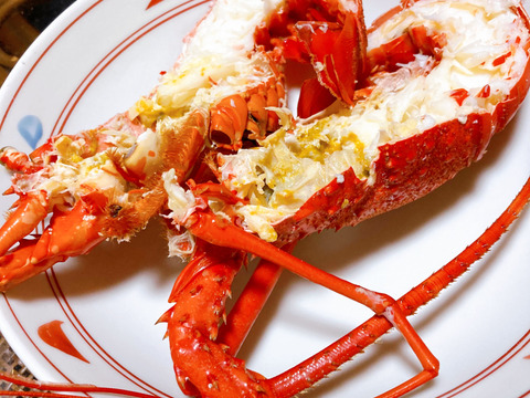 【長崎・五島列島直送】天然 活伊勢海老1kg（2〜4尾）離島の綺麗な海が育んだ「うまみと甘み」 漁師直送の鮮度をご家庭に