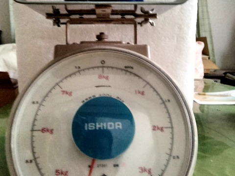 【訳あり】兵庫産　夏武輝 中玉スイカ1玉　ご家庭用⑪