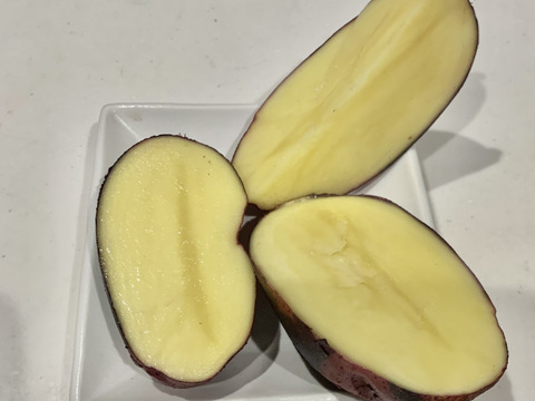 デストロイヤー！！（グラウンドペチカ）2キロ