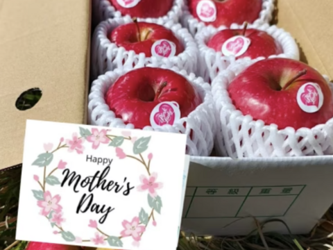 【母の日ギフト】ピンクレディー™1kg｜ありがとうを贈る大人のりんご（カード付）