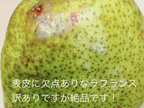 フードロスにご協力下さい‼️山形県産ラフランス【訳あり小玉5キロ】