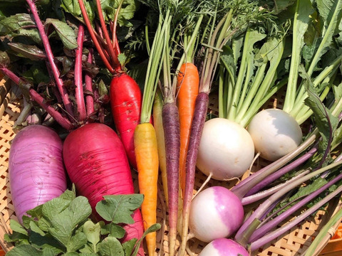 【冬野菜福袋】