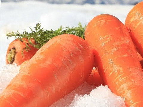 人参 【雪中にんじん】にんじん (約2kg) 9~11本：長野県産のその他