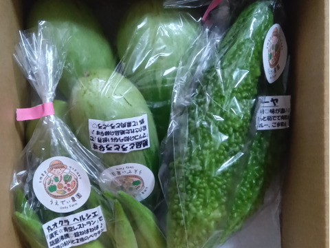 濃甘！野菜セット3種類 農薬・化学肥料不使用♪個包装