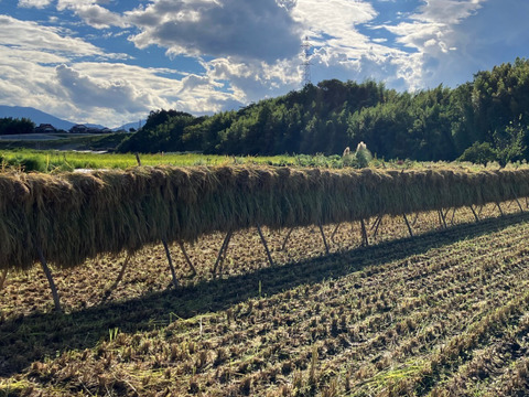 自然栽培赤米玄米粉