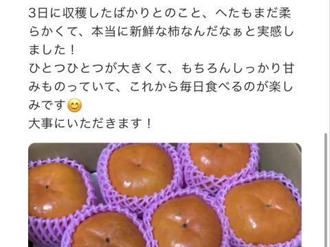 【30箱限定】【熨斗対応】宝石の様な柿、早秋柿！（贈答用3kg）