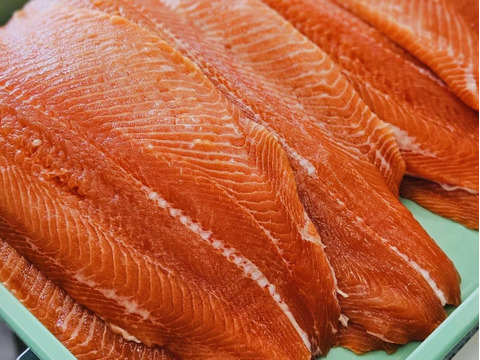 【父の日ギフト】ぜひお刺身で！輝サーモンフィーレ　Sサイズ真空-60冷凍