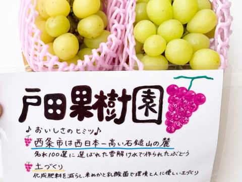 【黄色い小粒】シャインマスカット【完熟1kg】