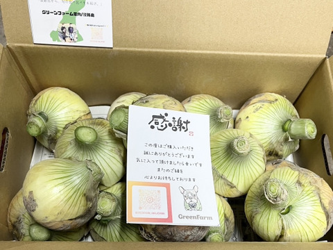 【5/7まで！】シャキ甘「七宝」と加熱でトロける「ボルト」食べ比べ5kg（サイズ混合）