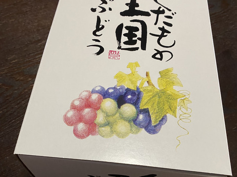 夏ギフト　青リンゴ味の赤ぶどうサニードルチェとエメラルドの輝きシャインマスカット2房入箱（一房約400〜500g）