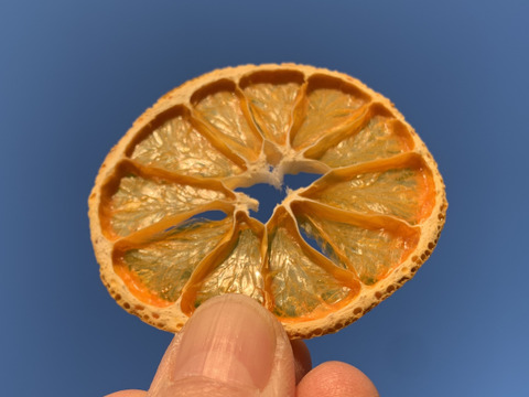 【訳あり】砂糖不使用なのに甘〜い！ドライみかん 100g〈農薬・化学肥料不使用〉