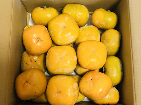 秋穫祭！500円引き！秋の味覚　和歌山のたねなし柿　訳あり　M〜2L 約5kg