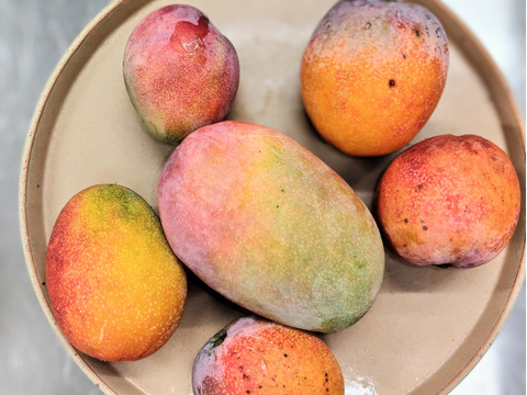 お徳用！南国鹿児島の【完熟マンゴー3～8玉】（１ｋｇ）