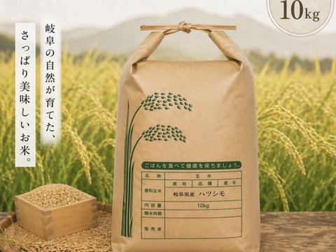 自家生産でこだわりあり！岐阜 ハツシモ　令和7年産  玄米10Kg🌾