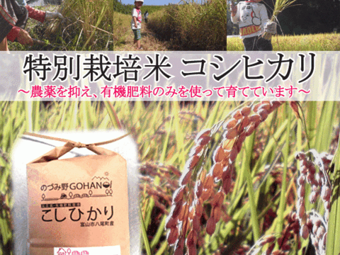 【2021年産】特別栽培米コシヒカリ(白米)５kg