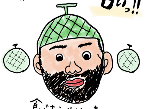 【お試し】【メロンは秋が旬!?】彩菜(あやな)メロン【一度食べたらメロンの虜♡】