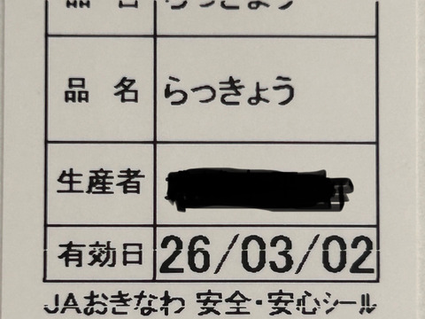 沖縄 伊江島特産 島らっきょう 1.5kg