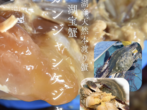 浜名湖産本ワタリガニ【カンジャンケジャン】1杯分