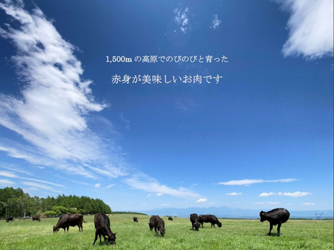 《経産牛と肥育牛の饗宴》　サーロイン食べ比べセット400g【信濃美味牛】