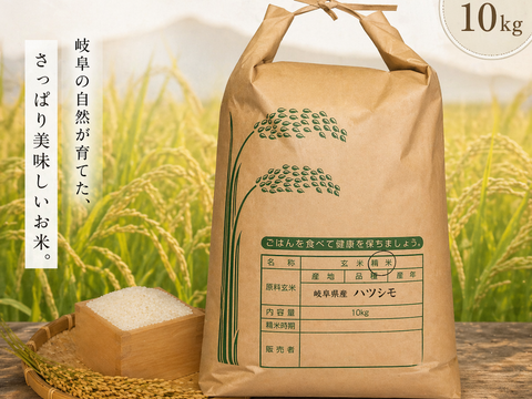 自家生産でこだわりあり！岐阜 ハツシモ　令和7年産  白米10Kg🍚