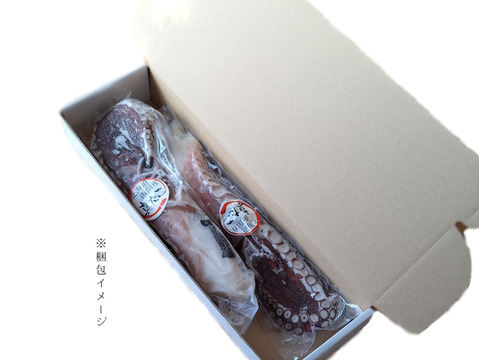 極太‼タコ足　【函館産】600g