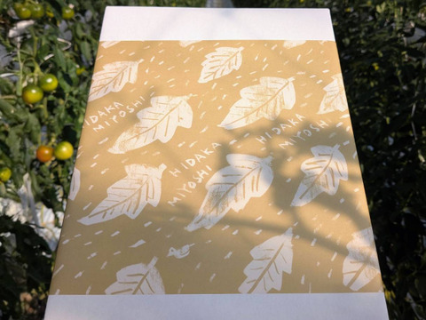 平均糖度8度以上！！べっぴん！大玉濃旨フルーツトマト（箱入り・約1.2kg)