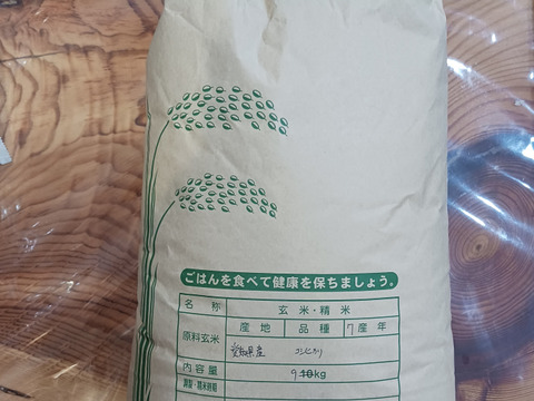 令和7年産新米　農薬5割減　特別栽培米コシヒカリ白米１０kg　化学肥料不使用　段ボール込み約１１kg