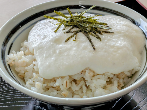 【冬ギフト】とろっとろ　大分県産 自然薯　ねばりごし一本 　１㎏