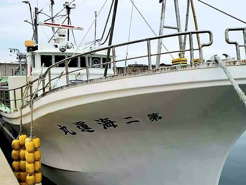 【期間限定特価】真空冷凍！小さなスルメイカ２㎏
