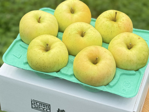 青森県産りんご　トキ　家庭用2㎏　【5〜10個】