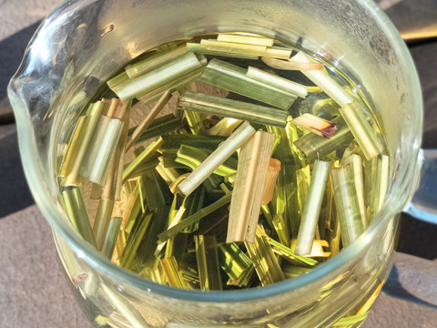 体と心に沁み渡る豊かな香りと味わい！ハーブティーリーフ30g（農薬化学肥料不使用）のっぷいのレモングラス葉と茎
