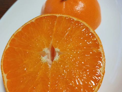 【2月中旬～発送】果汁たっぷりじゅわ～💕ハウス完熟せとか　3ｋｇ(8～15玉）×1箱