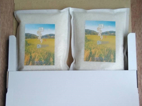 令和6年新米　新潟の棚田で育てた従来コシヒカリ玄米（お試しパック）