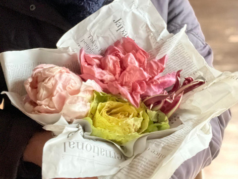 魅惑のイタリア野菜ラディッキオ3種