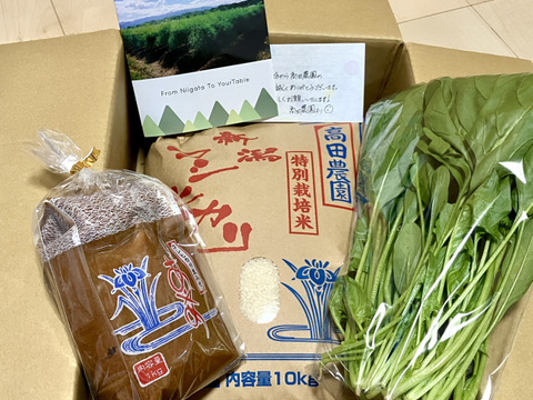 ④『令和7年産 新米』精米10kg【生味噌・無料プレゼント】東北アルプスの伏流水で育てた 新潟県産・特別栽培米コシヒカリ10kg＋生味噌1㎏