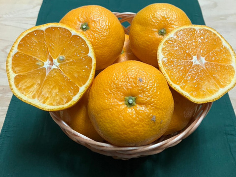 青島温州とぽんかんの詰め合わせ箱込み5kg