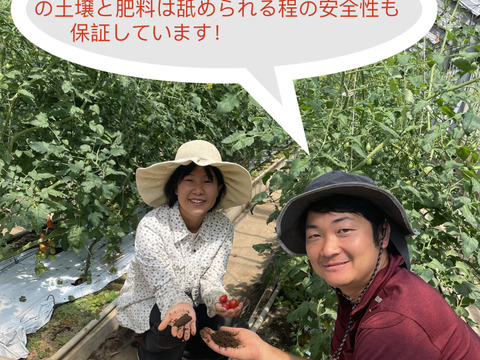 日本初有機JAS栽培した機能性表示ミニトマト1kg