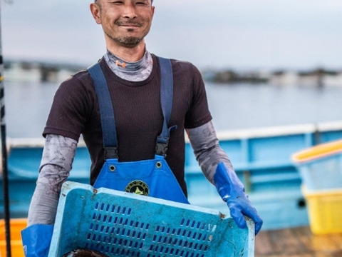 ※期間限定特売セール‼【北海道産】活ズワイガニ　サイズ小中　7.5kg