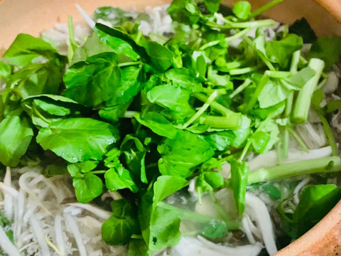 【自然栽培】道産サラダリーフ・600g （草の力だけで育てたこだわりの無肥料野菜）