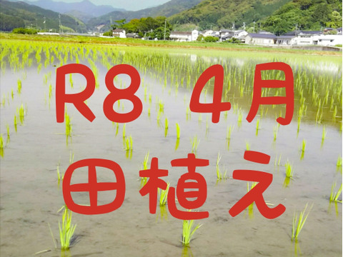 送料込み 令和8年産 高知県産 新米コシヒカリ 玄米10㎏(袋込み)